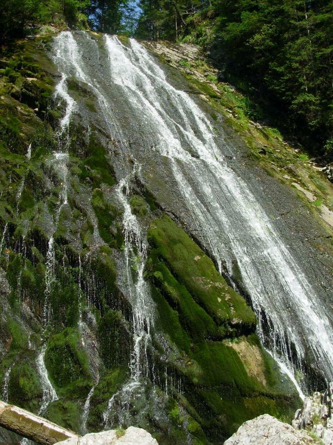 Weideblick Lägenhet Tauplitz Exteriör bild