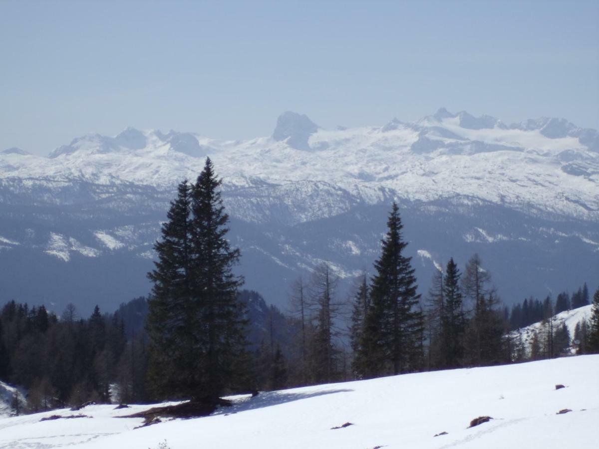 Weideblick Lägenhet Tauplitz Exteriör bild